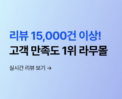 라무몰로 확인하는 해외직구 구매대행 이용 시 개인수입 주의사항
